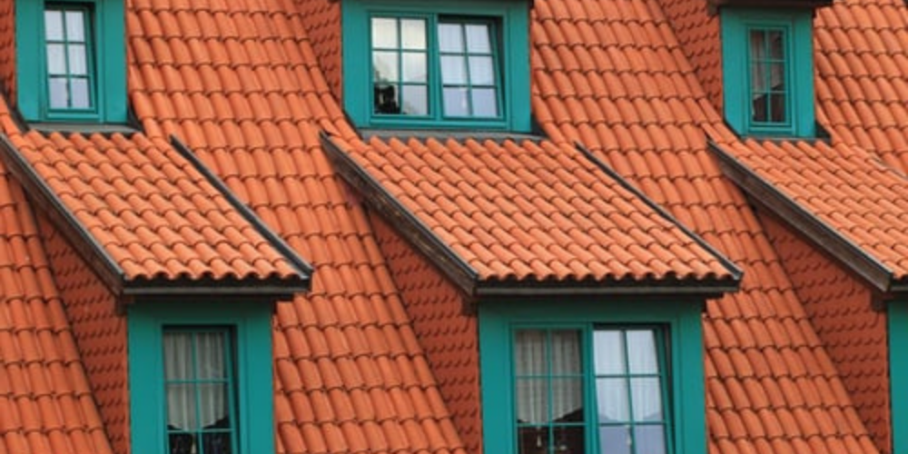 roof specialist