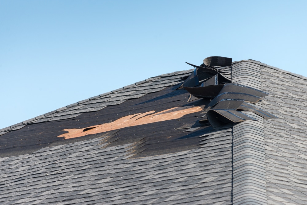 Essential Guide to Spotting Roof Damage Before It Gets Worse